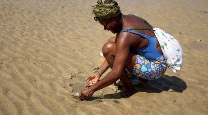 Salvador cria roteiros de afroturismo: Mariscagem na Praia de Tubarão