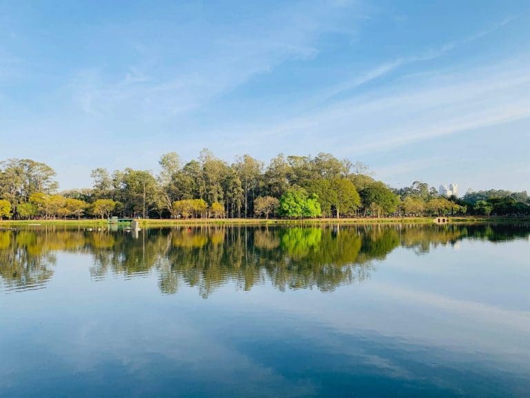 Corpus Christi - Ibirapuera, São Paulo - SP, Brasil (Foto Jaime Dantas)