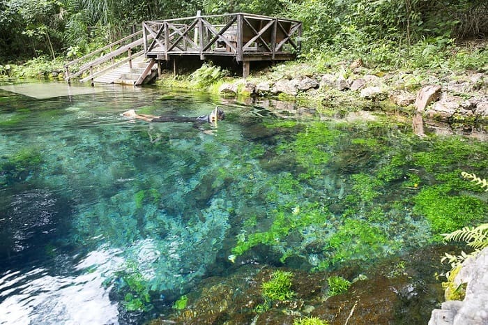Mato Grosso do Sul tem vários atrativos turísticos, como a Nascente Azul, em Bonito (MS)