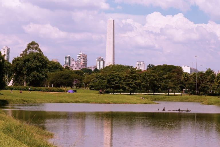 Parque Ibirapuera em São Paulo - Estado de São Paulo (Foto: Pixabay)