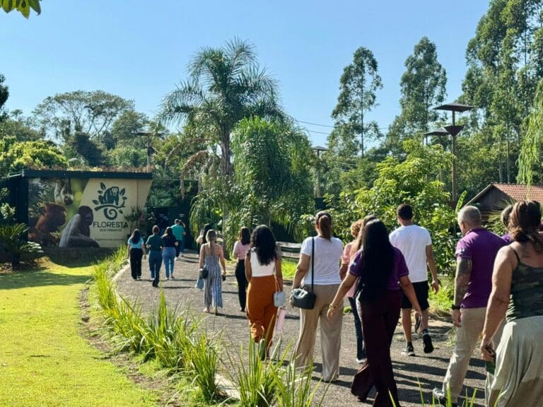 Floresta dos Primatas - Foto: divulgação Eco Park Foz