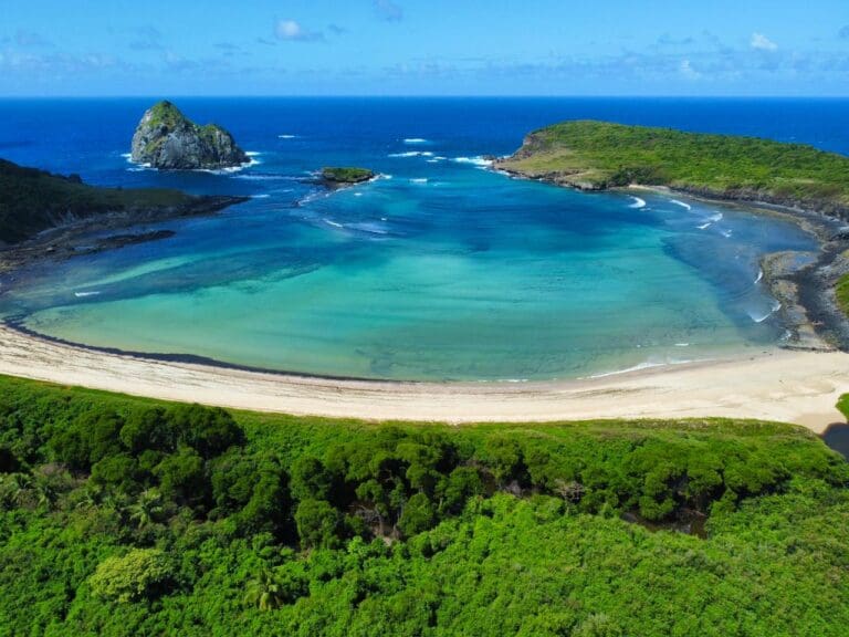 De acordo com o Visite Noronha, número tende a crescer ainda mais nos próximos dias - Foto: Visite Noronha