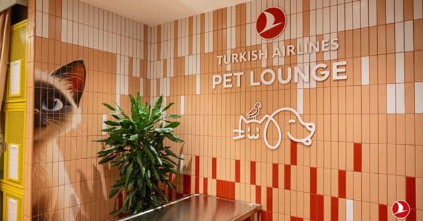 A Turkish Airlines lançou o Pet Lounge, um espaço exclusivo no Aeroporto de Istambul para oferecer mais conforto e cuidados aos passageiros que viajam com seus animais de estimação - Foto: divulgação