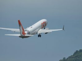 Boeing 737 MAX da GOL (Foto: Divulgação GOL)