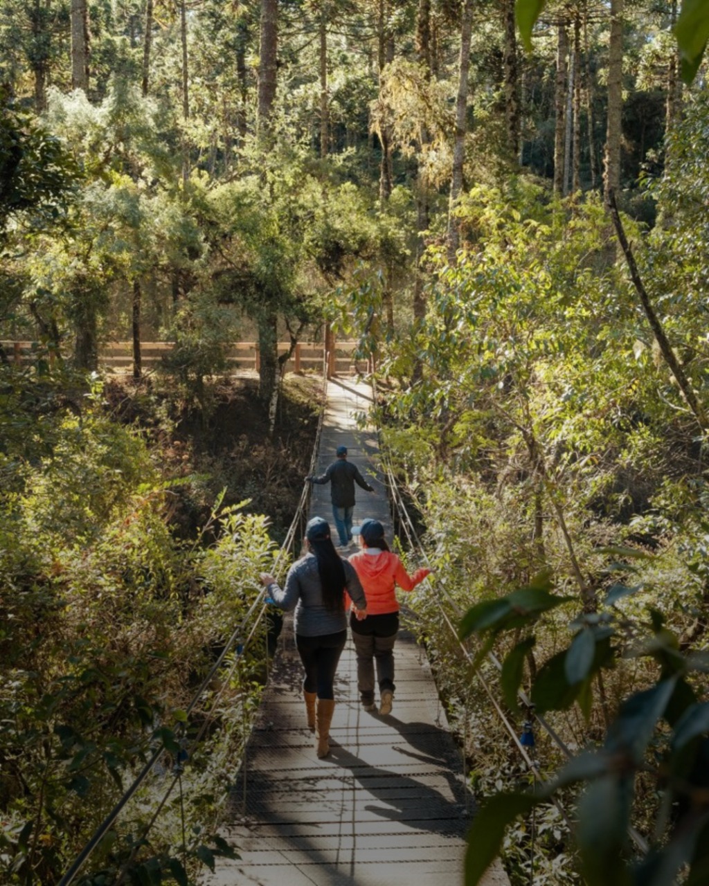 Campos do Jordão