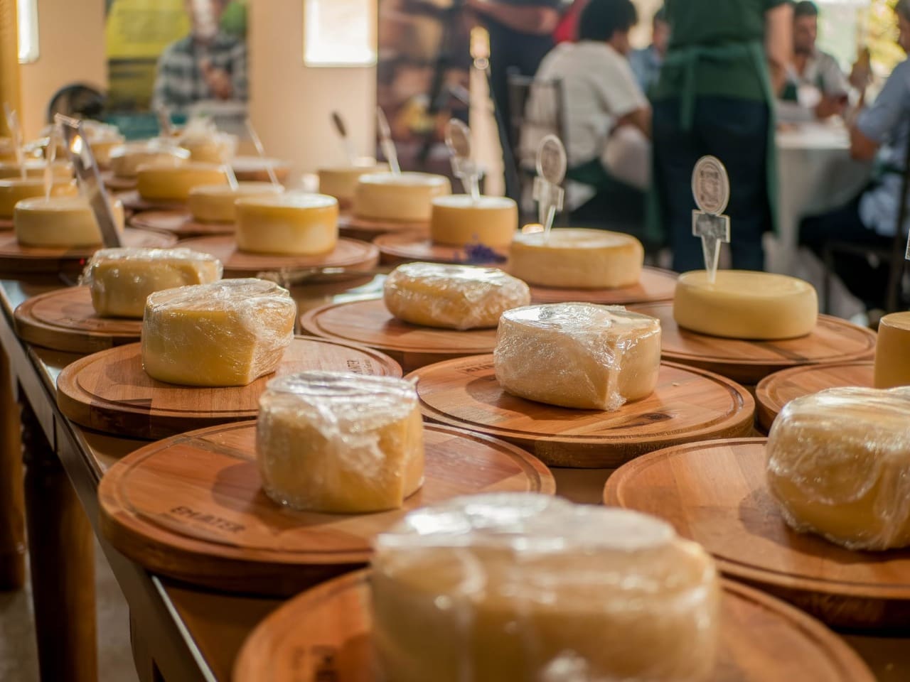Festa do Queijo do Serro chega à 39ª edição com sabor, cultura e grandes shows - Foto: divulgação