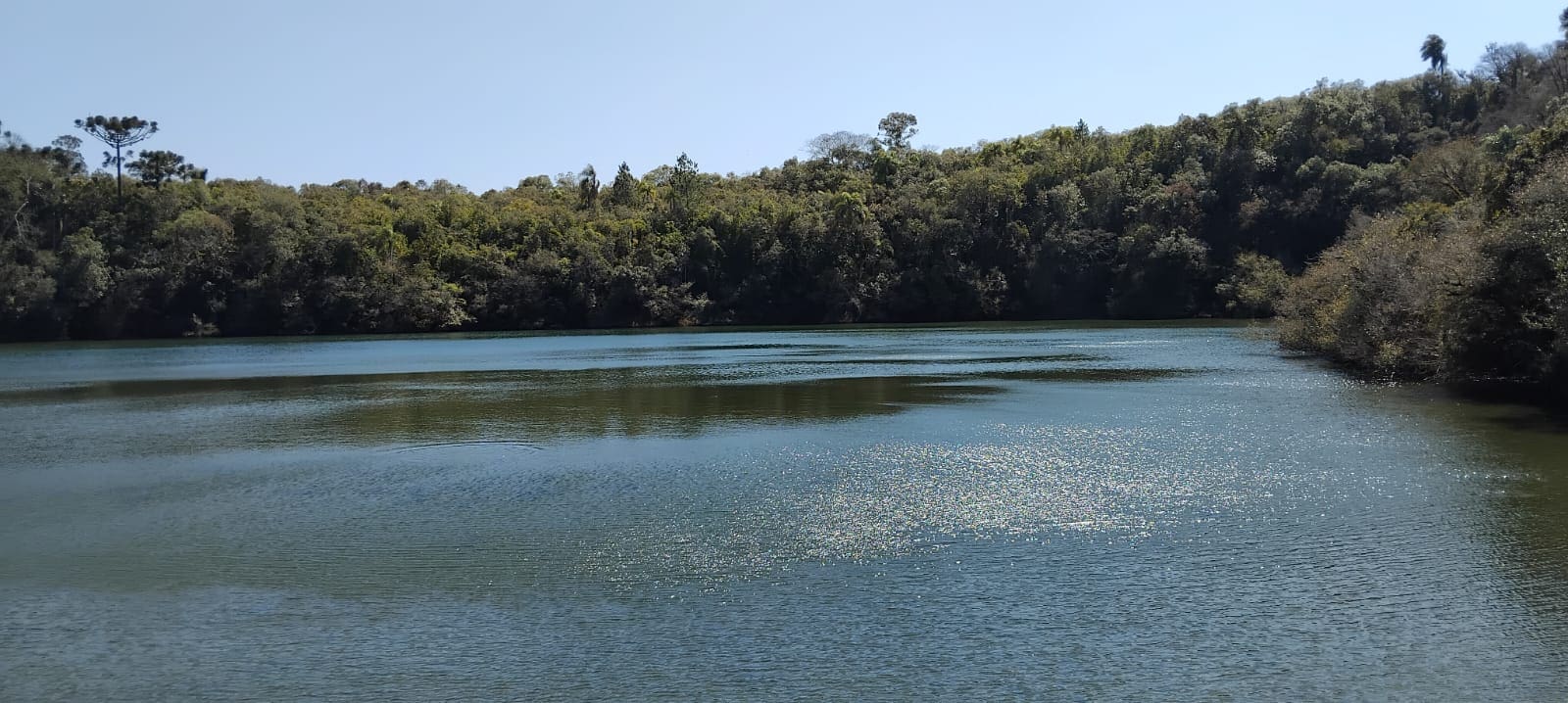 Ponta Grossa