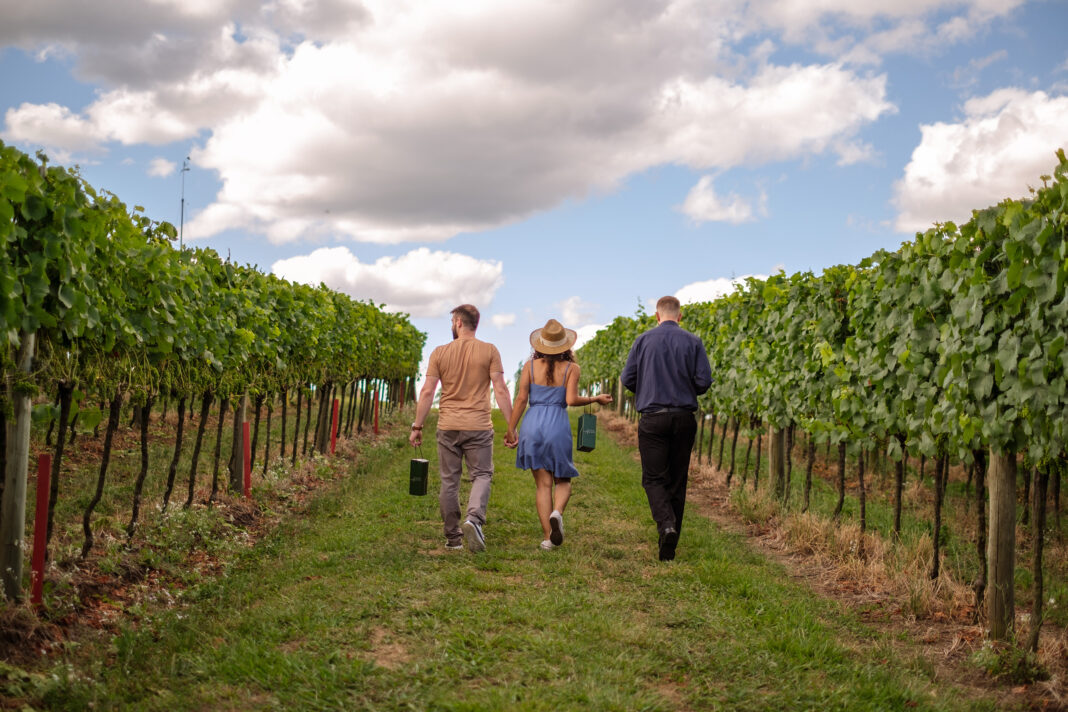 2. Walk Wine_Crédito Zeto Telöken Vinícola Aurora