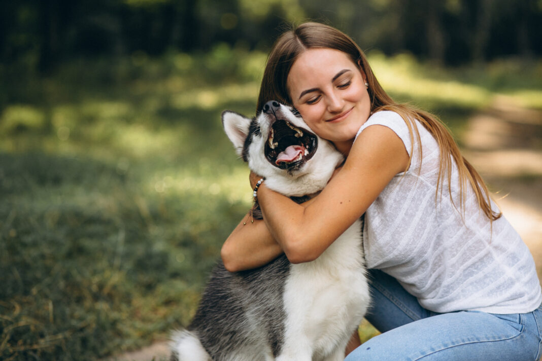 Governo busca consultoria para mapear turismo pet friendly no Brasil - Crédito: Freepik