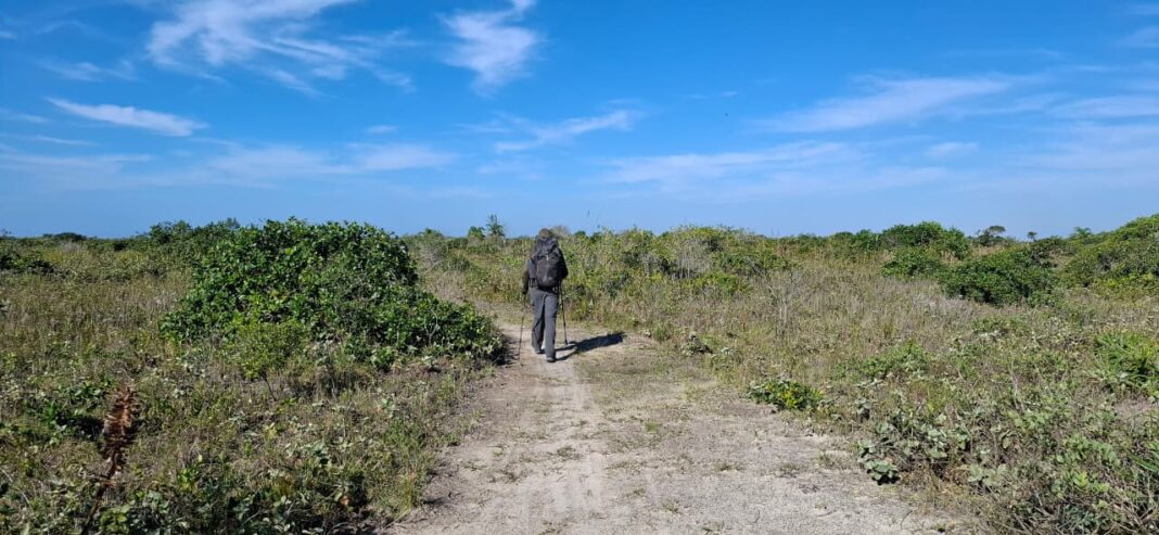 Governo de São Paulo lança Rede Estadual de Trilhas para integrar turismo sustentável e conservação ambiental - Crédito: divulgação Fundação Florestal