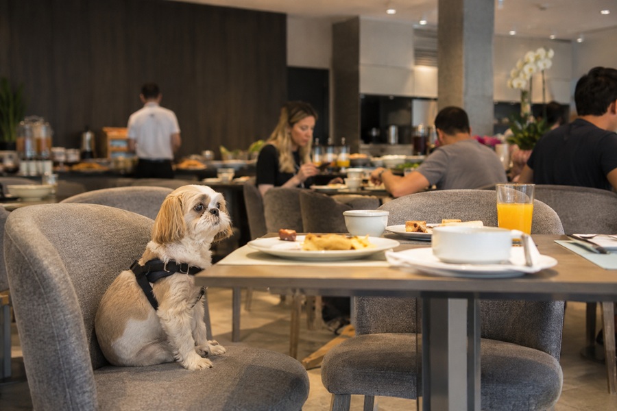 Pesquisa sobre pets no hotel