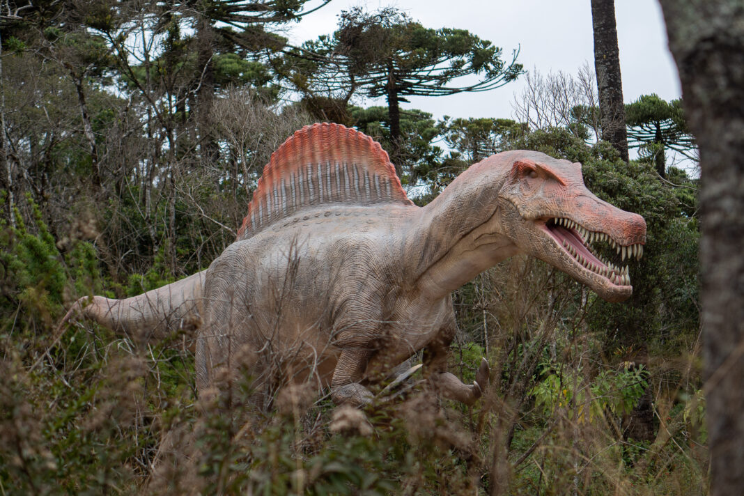 Dos R$ 50 milhões investidos aos 170 mil m²: os números que traduzem o novo parque Terra dos Dinos de Campos do Jordão - Crédito: Divulgação Dos R$ 50 milhões investidos aos 170 mil m²: os números que traduzem o novo parque Terra dos Dinos de Campos do Jordão - Crédito: Divulgação